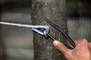 Каблинг. Закрепление крюка в стволе дерева © АльпМастер т.518-40-84, 8-926-230-63-41